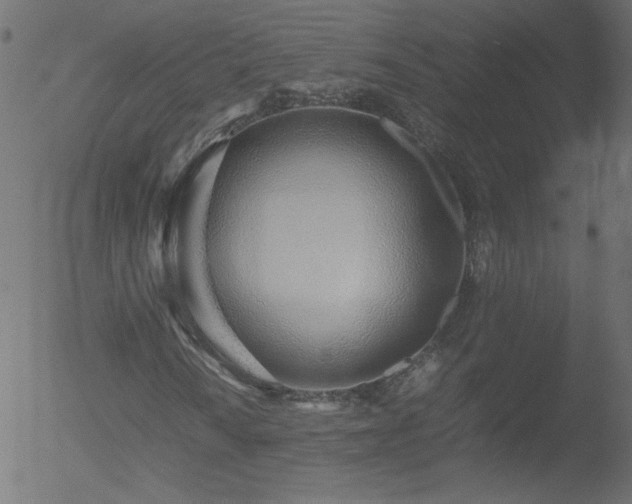 X0000052551010200507011125