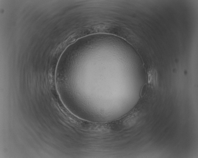 X0000052551011200507011125