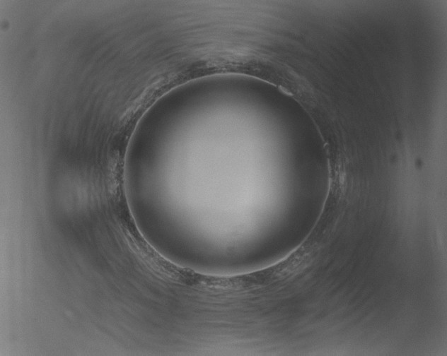 X0000052551012200507011125