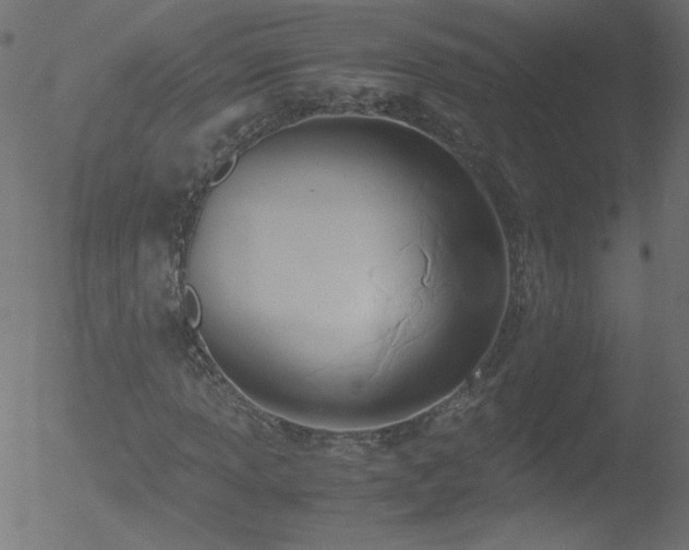 X0000052551013200507011125