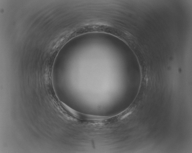 X0000052551014200507011125