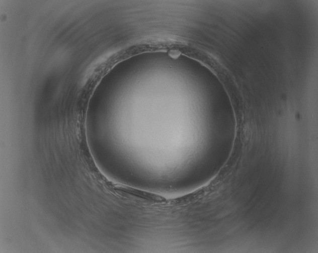 X0000052551016200507011125