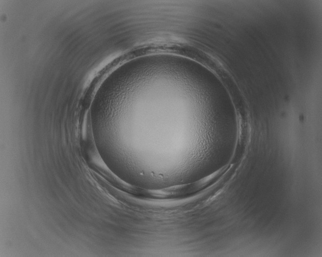 X0000052551018200507011125