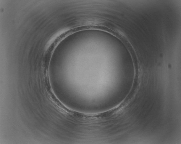 X0000052551019200507011125