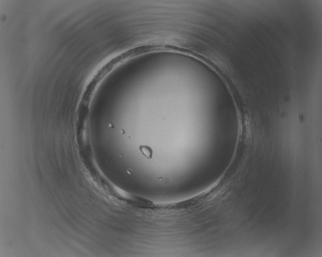 X0000052551020200507011125