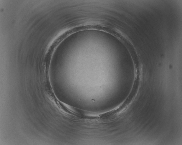 X0000052551021200507011125