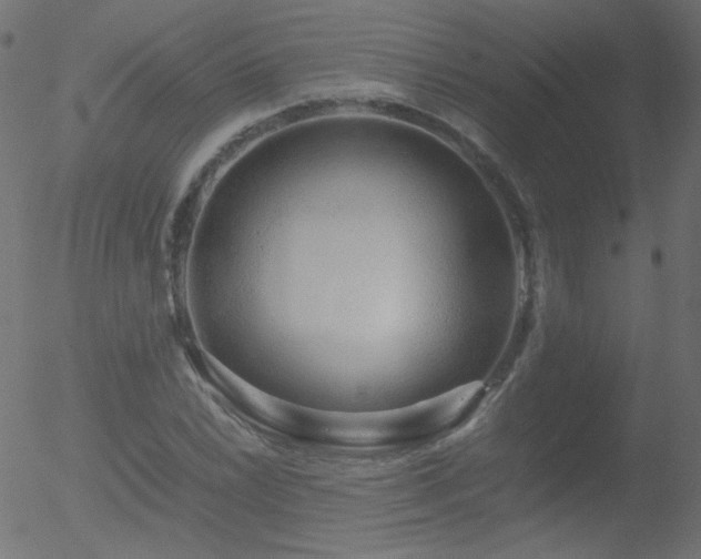 X0000052551022200507011125