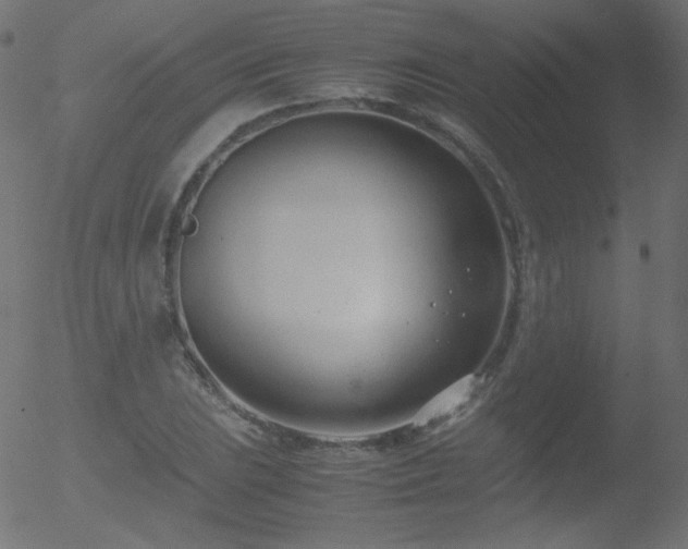 X0000052551023200507011125