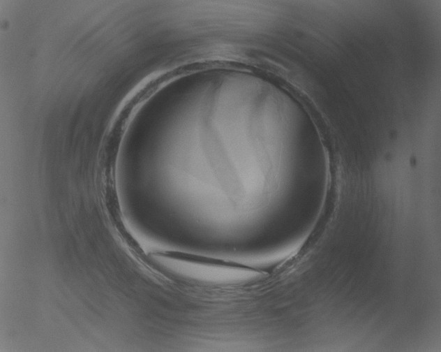 X0000052551024200507011125