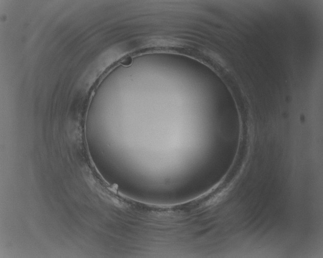 X0000052551025200507011125