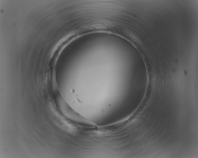 X0000052551026200507011125