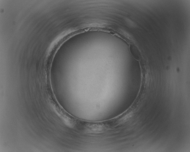 X0000052551027200507011125