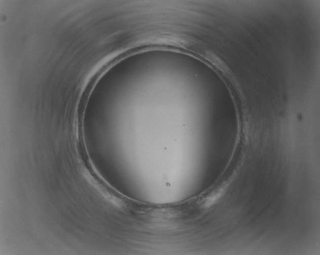 X0000052551028200507011125