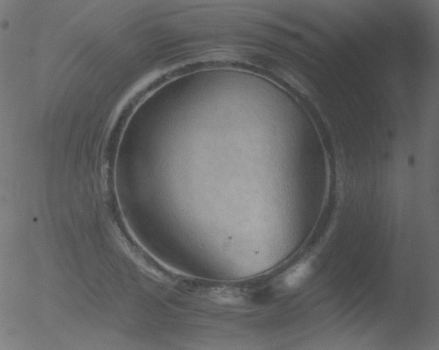 X0000052551029200507011125