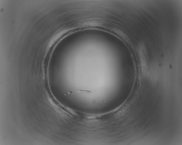 X0000052551031200507011125