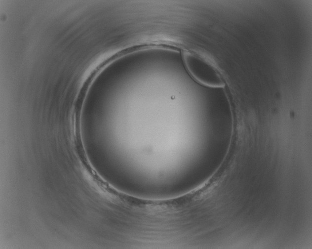 X0000052551032200507011125