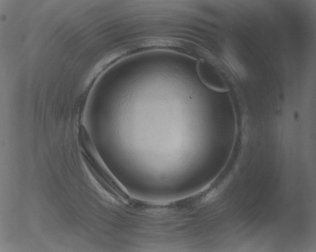 X0000052551033200507011125