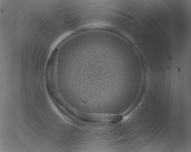 X0000052551034200507011125