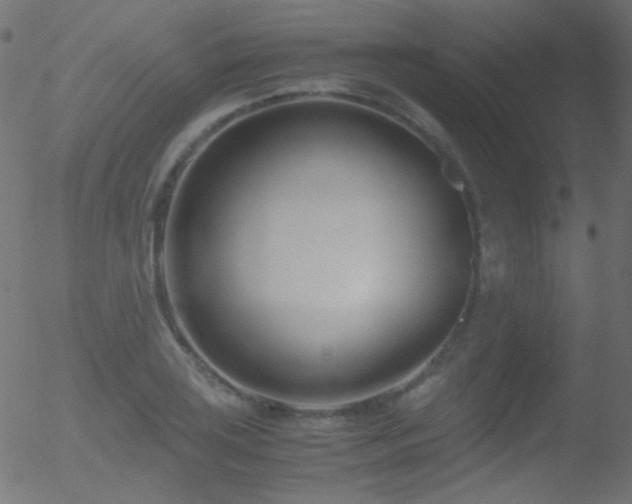 X0000052551035200507011125