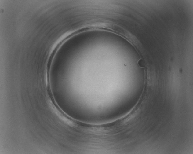 X0000052551036200507011125