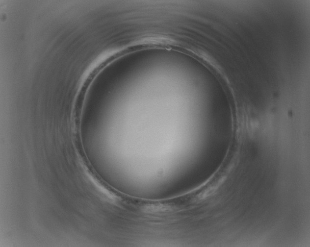 X0000052551037200507011125