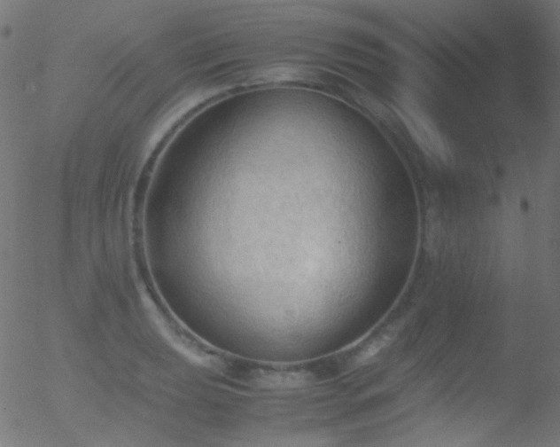 X0000052551039200507011125