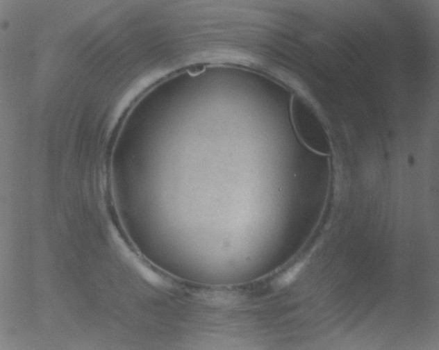 X0000052551040200507011125