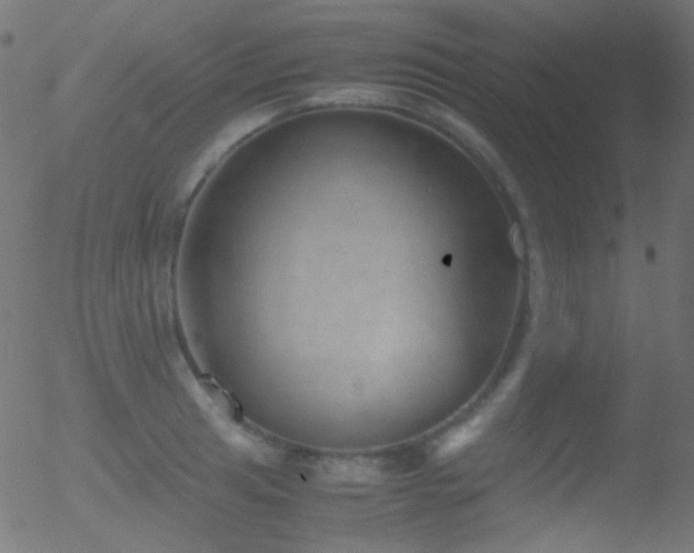 X0000052551041200507011125