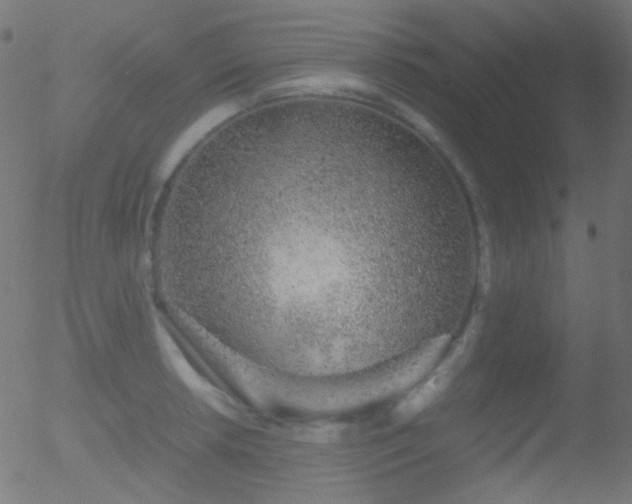 X0000052551042200507011125