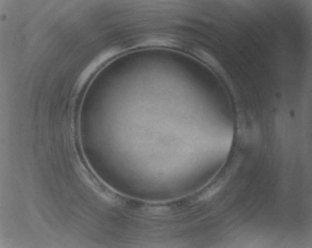 X0000052551043200507011125