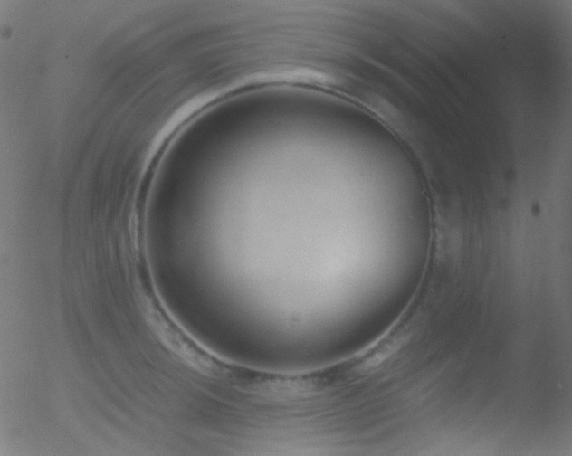 X0000052551044200507011125