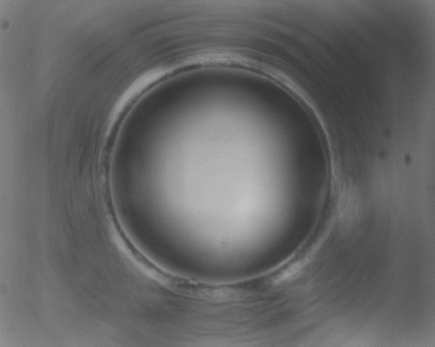 X0000052551045200507011125