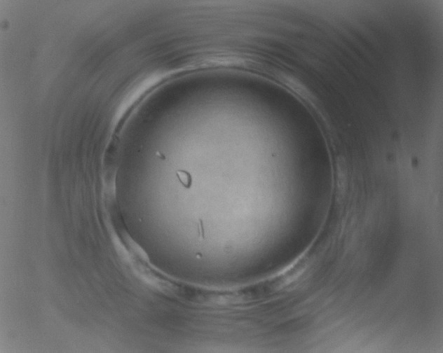 X0000052551047200507011125