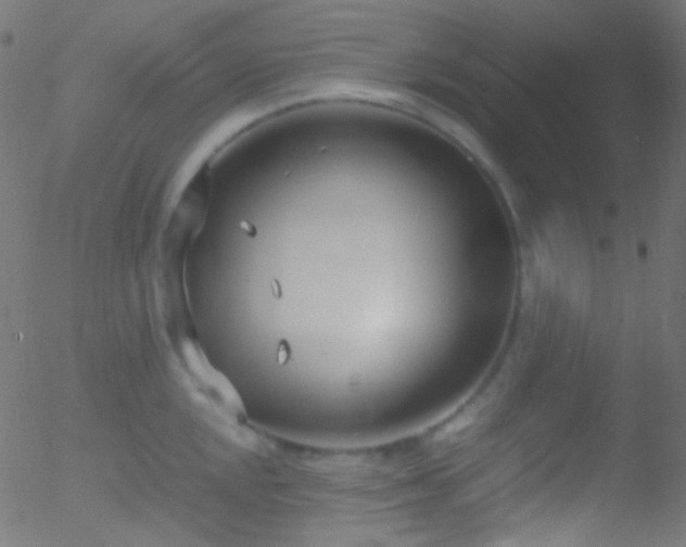 X0000052551048200507011125