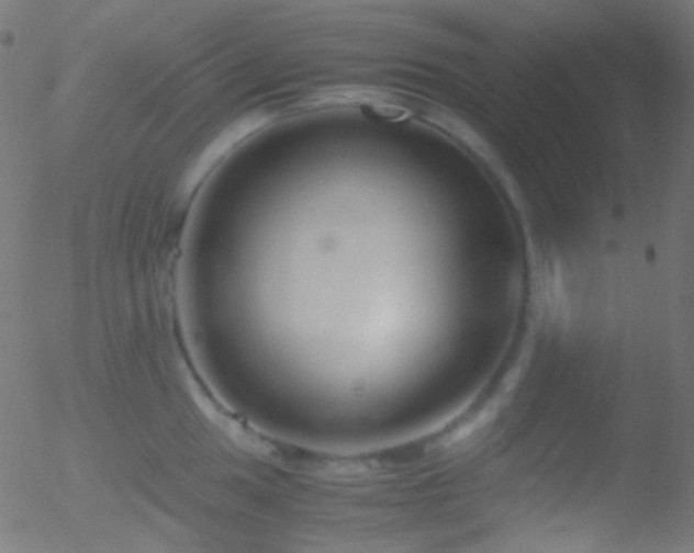 X0000052551049200507011125