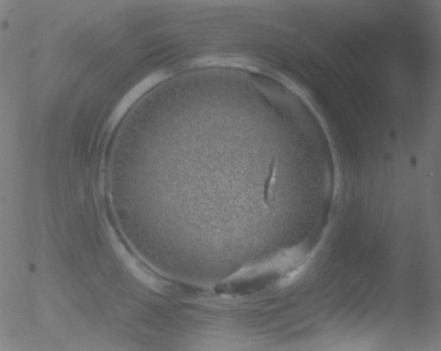 X0000052551050200507011125