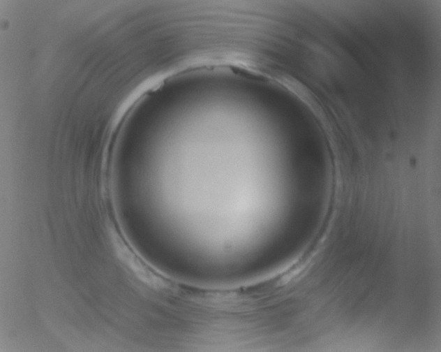 X0000052551052200507011125