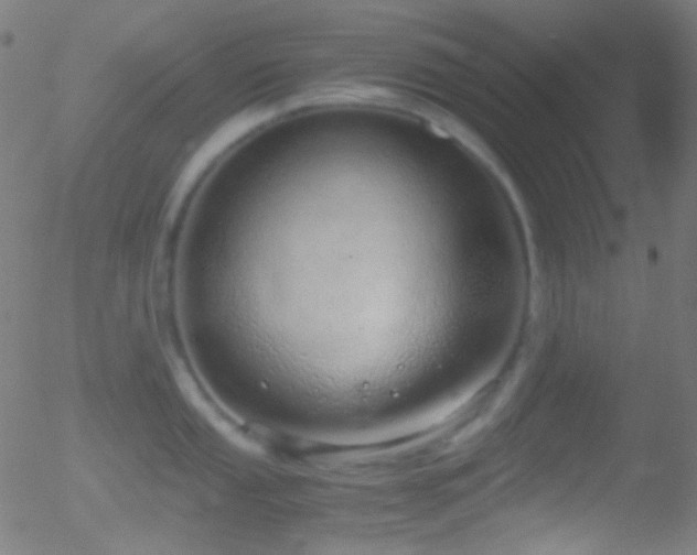 X0000052551053200507011125