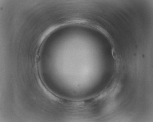 X0000052551055200507011125