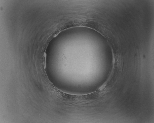 X0000052551057200507011125