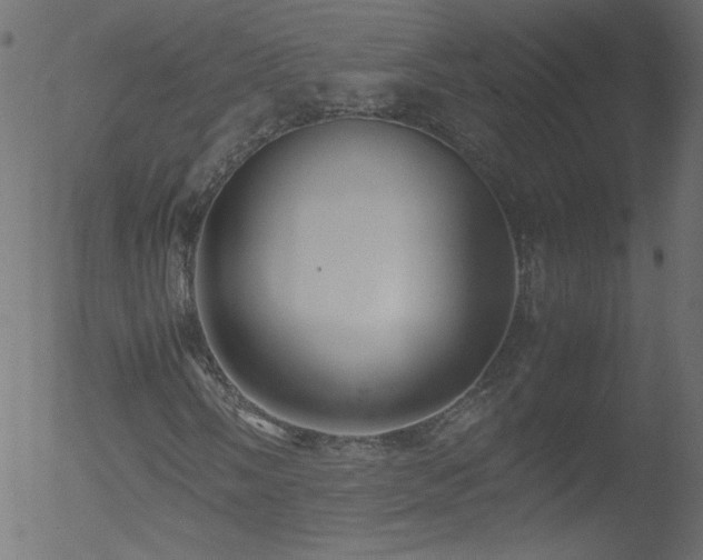 X0000052551058200507011125