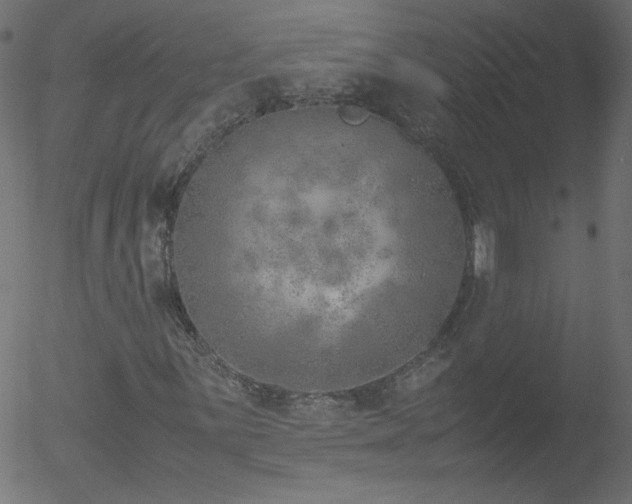 X0000052551059200507011125