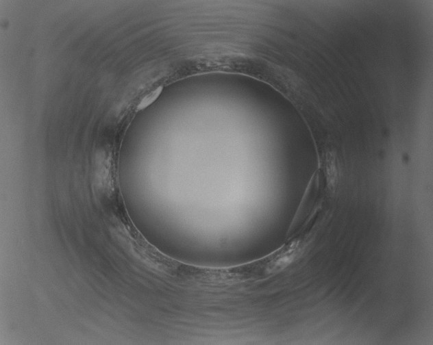 X0000052551060200507011125