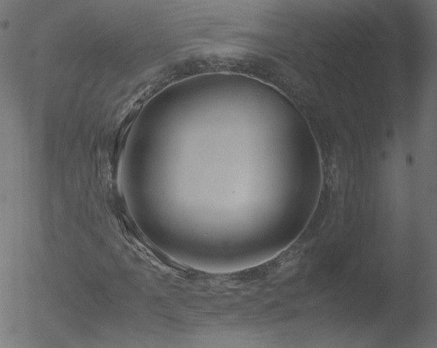 X0000052551061200507011125