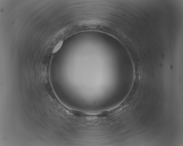 X0000052551062200507011125