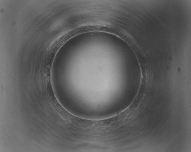 X0000052551064200507011125