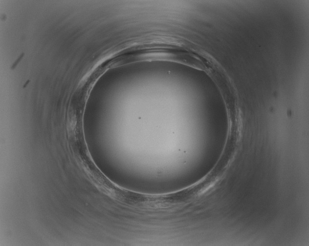 X0000052551065200507011125