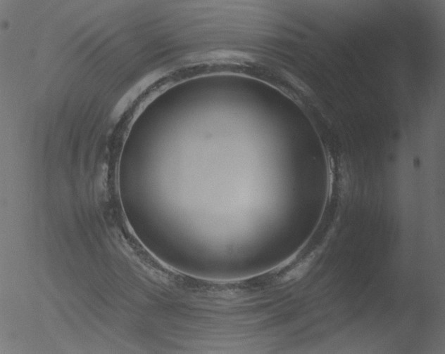 X0000052551066200507011125