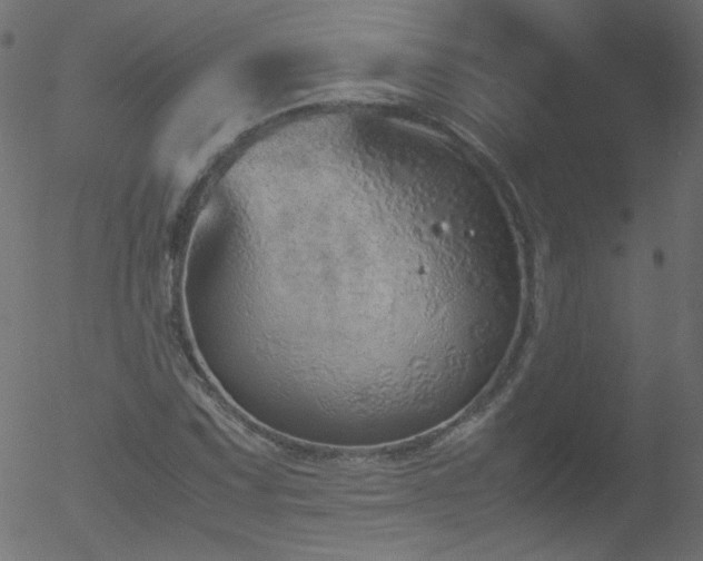 X0000052551067200507011124