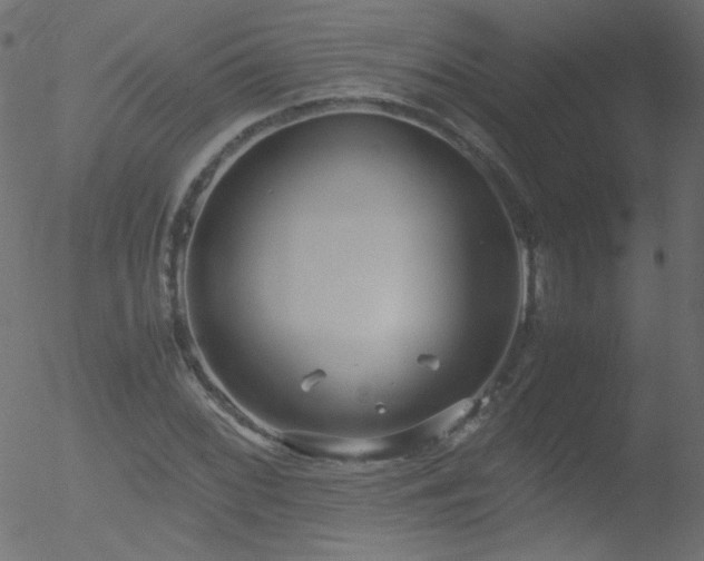 X0000052551068200507011124